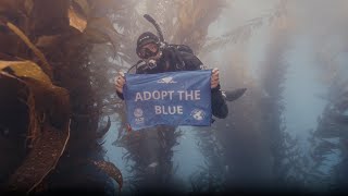 Adopt the Blue: Protecting What We Love