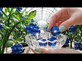 Want to Try Making Glass Jam The Ultimate ASMR Relaxation Journey