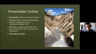 Clark’s nutcracker seed harvesting habitat use in Yellowstone National Park, T. McLaren