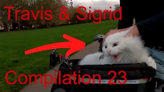 Sigi Rides Compilation 23