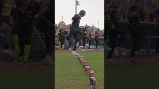 Cotton-Eye Joe Batter Walk-Up The Party Animals