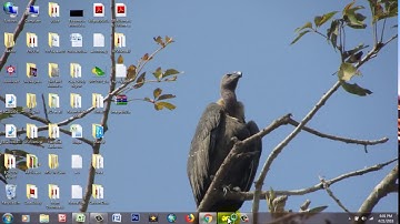 Statistical Downscaling Model Practical | Rainfall data modeling by using SDSM