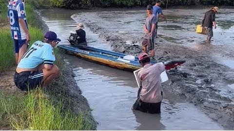 Bắt Tôm Càng Cà Mau - Sinh Tồn Ở Trong Rừng Ngập Mặn 