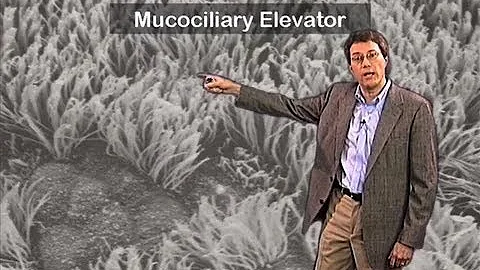 Transmission of TB and other pathogens - John McKinney (EPFL)