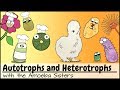Heterotrophs and Autotrophs in the Animal and Plant Kingdom