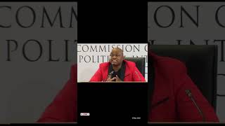 Madlanga Commission of Inquiry #youtubeshorts #shortvideo #shortfeed #madlangacommission #mkhwanazi