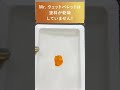 水性系塗料筆塗りの必需品！Mr.ウェットパレット