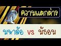 ความแตกต่าง การเรียน กิจกรรม ของ มหาลัย (มหาวิทยาลัย) vs มัธยม