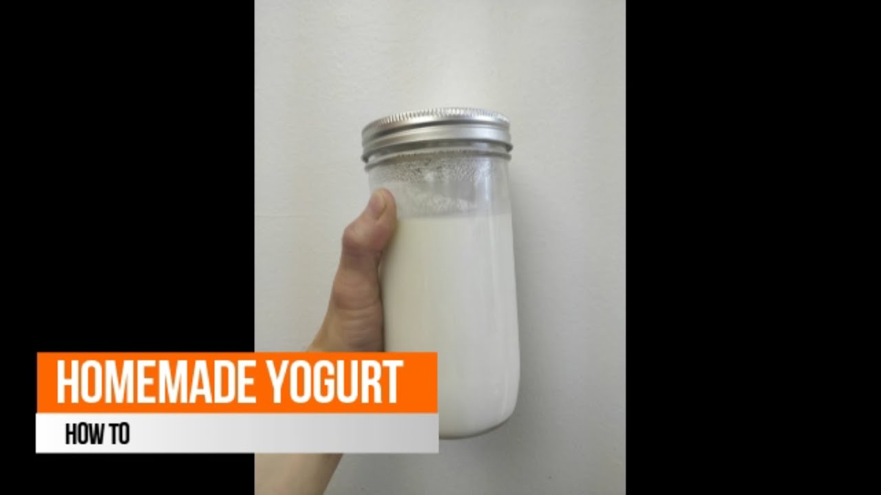 How to Make Homemade Yogurt YouTube