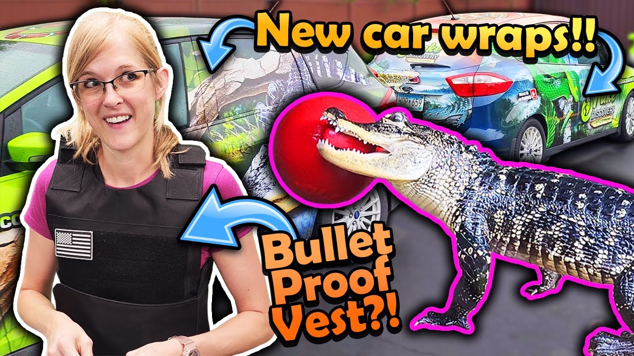 Weird Things that Happen at Snake Discovery (Shenanigans Ep. 8)