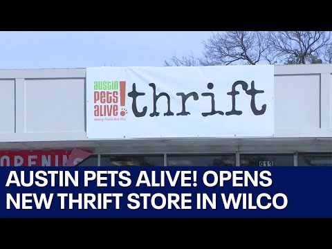 Austin Pets Craigslist