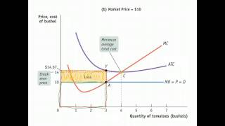 Micro Unit 5, Day 2 - Graphing Perfect Competition