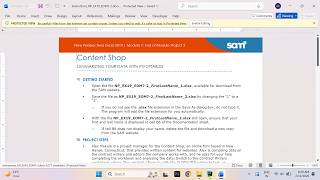 New Perspectives Excel 2019 | Module 7: End of Module Project 2 Content Shop