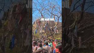 Happy Holi 😊#jnu #jnucampus #university #motivation #holi #ytshorts #trending