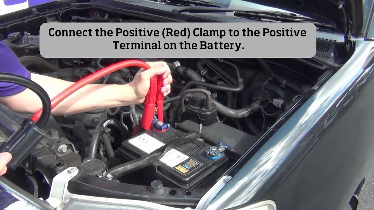 Battery World 8000V, 500A & 900A Surge Protected Jumper Leads YouTube