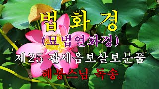 법화경 (묘법연화경) 제7권 제25 관세음보살보문품 혜봉스님독송(☎010-4667-4557법등심)