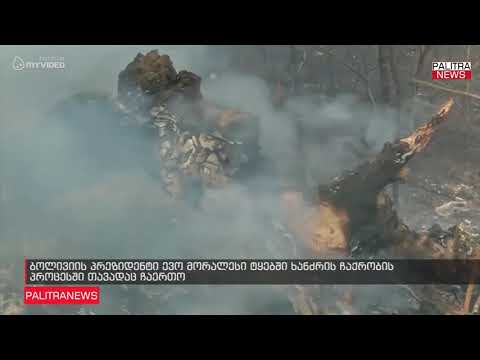 ბოლივიის პრეზიდენტი ევო მორალესი ტყებში ხანძრის ჩაქრობის პროცესში თავადაც ჩაერთო