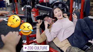 ZOO CULTURE ANNIVERSARY....IT GOT INTERESTING