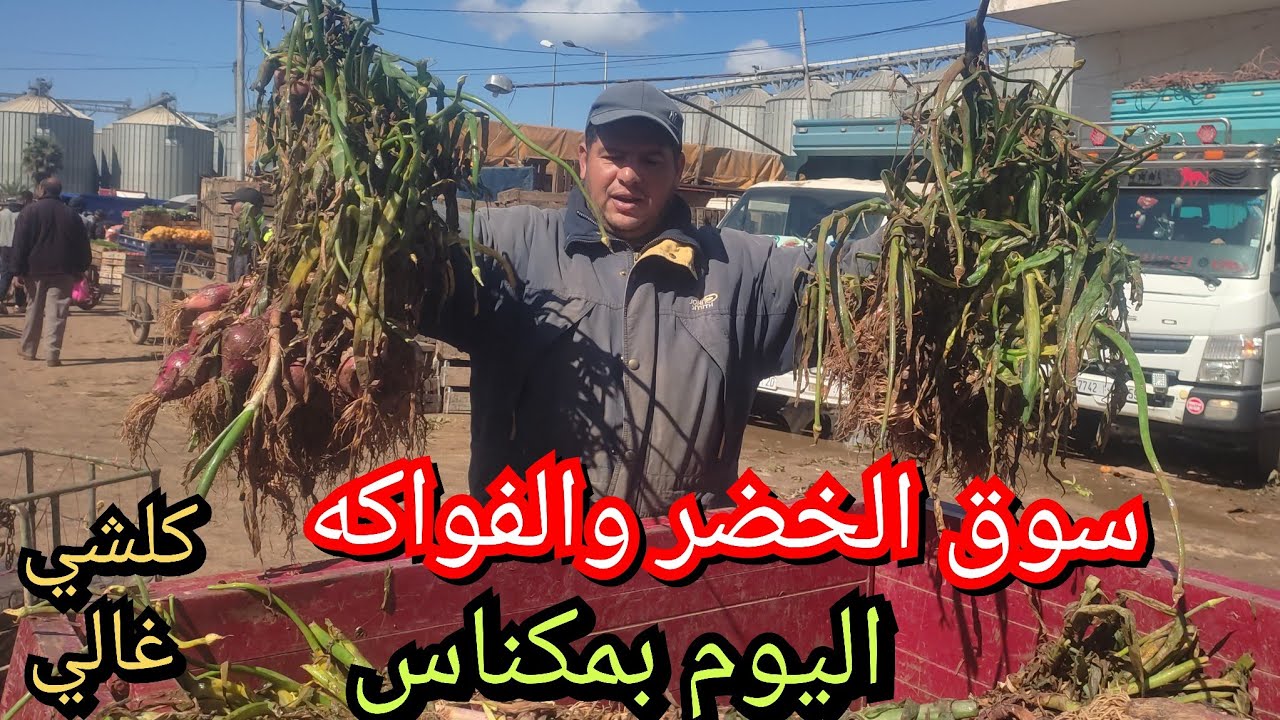 اسعار الخضر والفواكه بالجملة بمدينة مكناس ليوم السبت 7/3 كلشي غالي