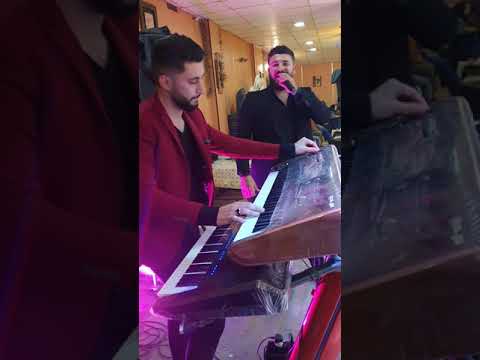 موال دلو مليلو لو دلو علي كوردي 