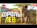 ЧТО В КИНО?  «Король Лев (2019)» обзор