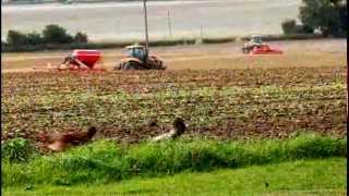 The Mosaic Company's Florida Phosphate Mining and Fertilizer Production Operations