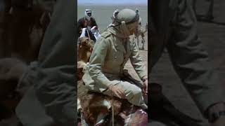 Dads 10 Seconds Into The Movie They Really Wanted To Watch