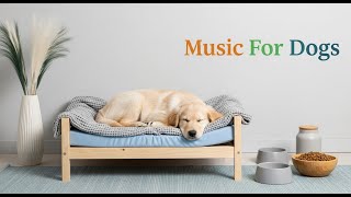 100% GUARANTEED to Make Your Dog Sleep 😴🎵 Proven to Calm Anxious Dogs 🐶 10 HOURS
