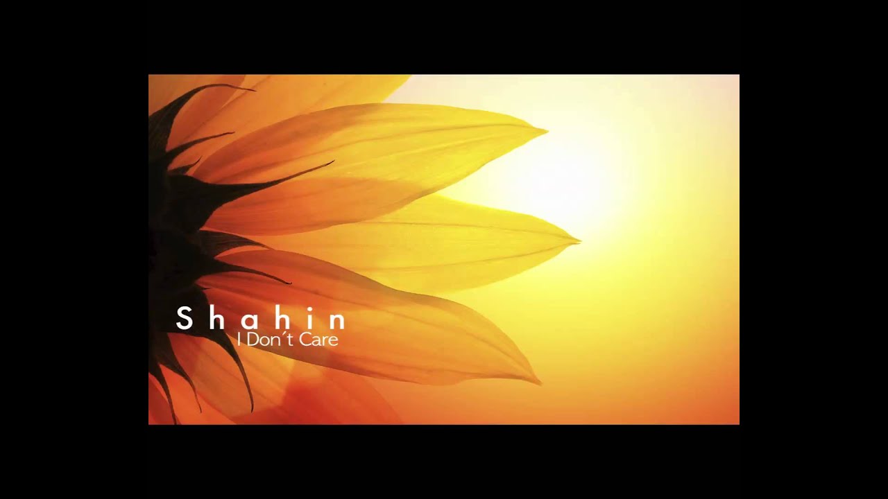 BrandyI don´t care ( Cover by Shahin ) YouTube