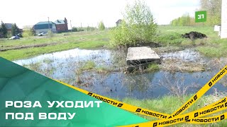 Роза уходит под воду. Рабочий посёлок второй месяц топит неизвестными стоками