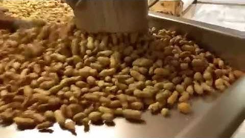 Hayssen Ultima Vertical Form Fill Seal System Bagging In-Shell Peanuts | ProPac.com