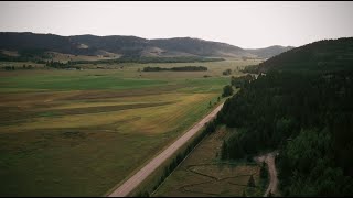 Miniatura de vídeo de "I'm An Open Road"