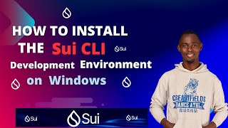 How to Install the Sui CLI Development Environment on Windows