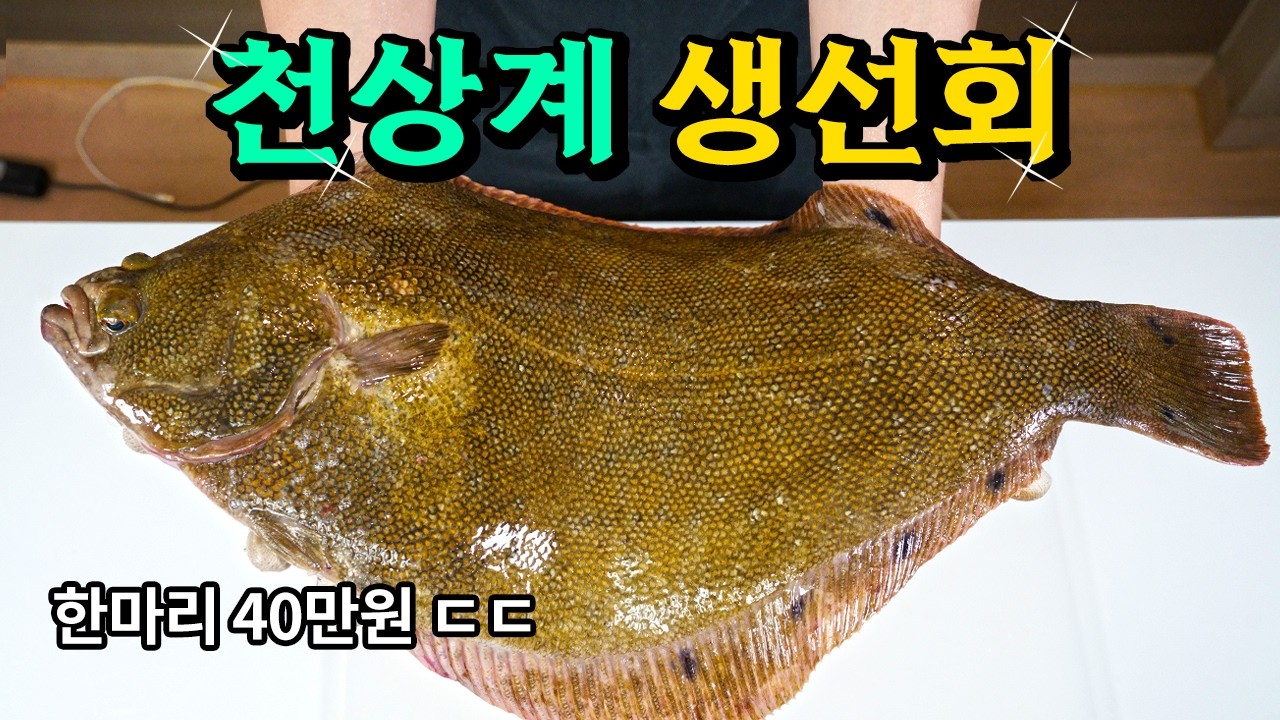 돗돔보다 귀한 전설의 횟감이 잡혔다~! 얼마나 맛있으면 다들 난리일까?