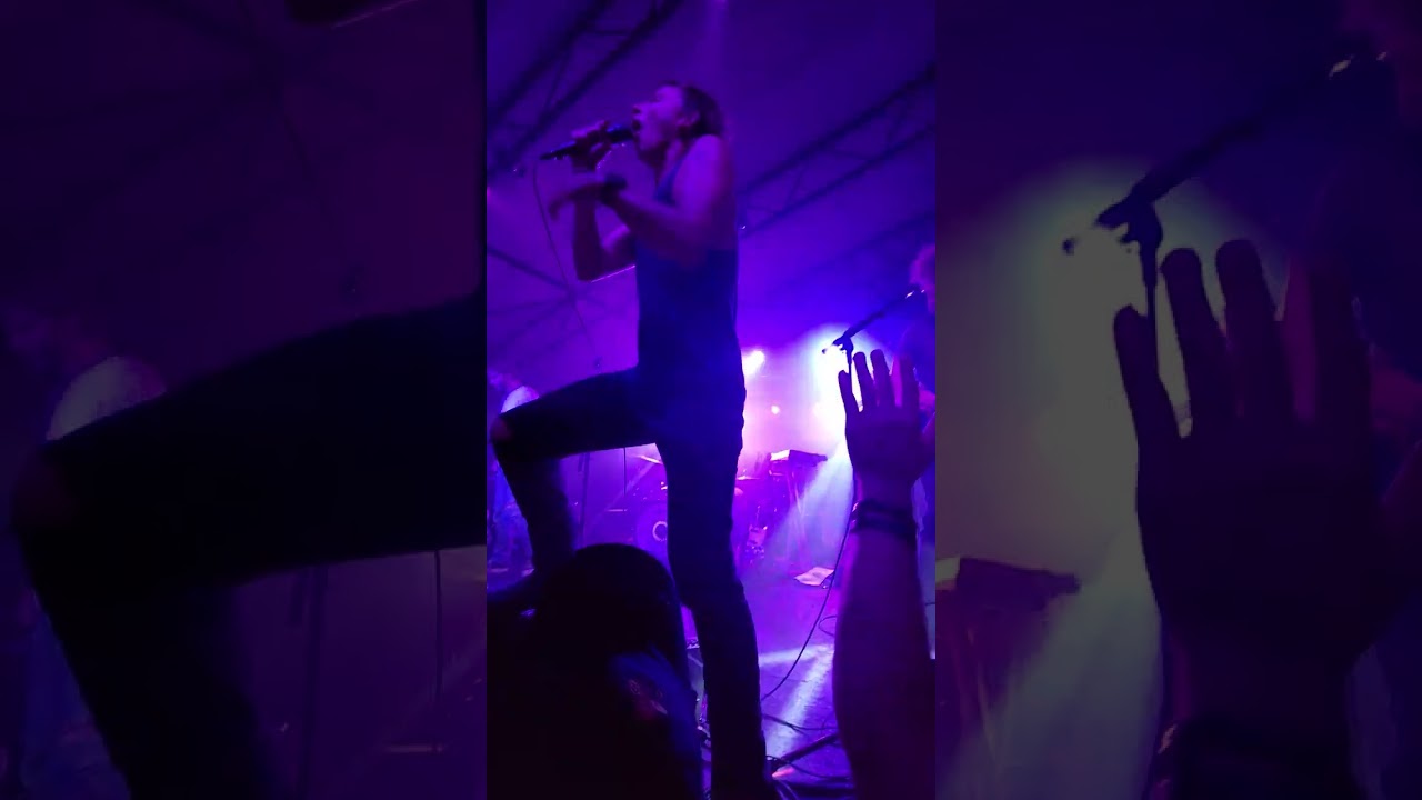 Pond - Human Touch (Live)