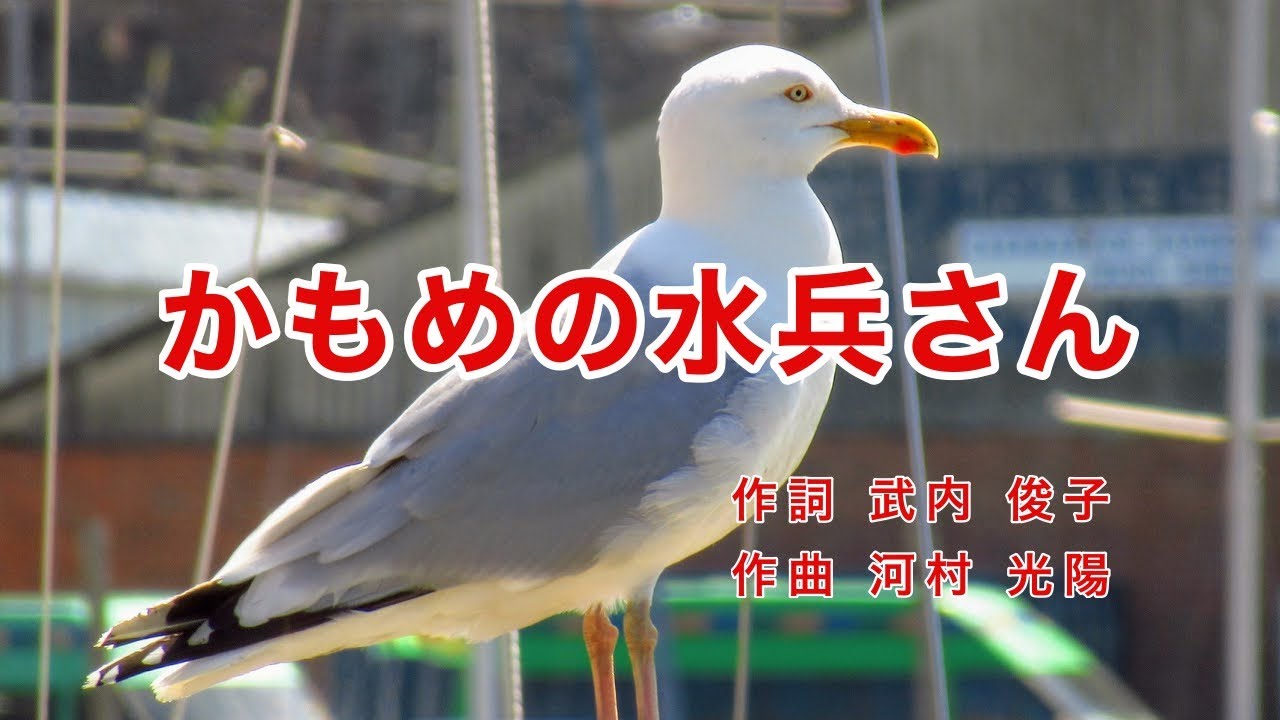 Traditional Japanese Songs｜Kamome no Suihesan “The Seagull