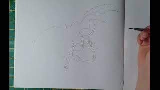 Art Fundamentals: Blind contours drawing | real time video