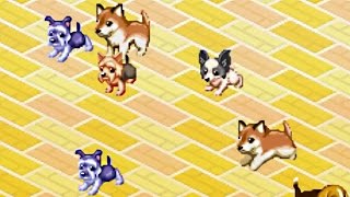 Disaster Report: Dogz (GBA) - The Game Hoard