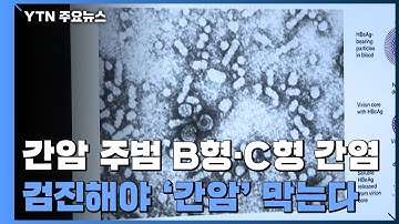 간암 주범 B형·C형 간염...평생 1번 검진해야 