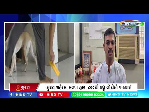 સુરતવાસીઓને પાલતુ શ્વાન રાખવા માટે લાયસન્સ લેવું પડશે