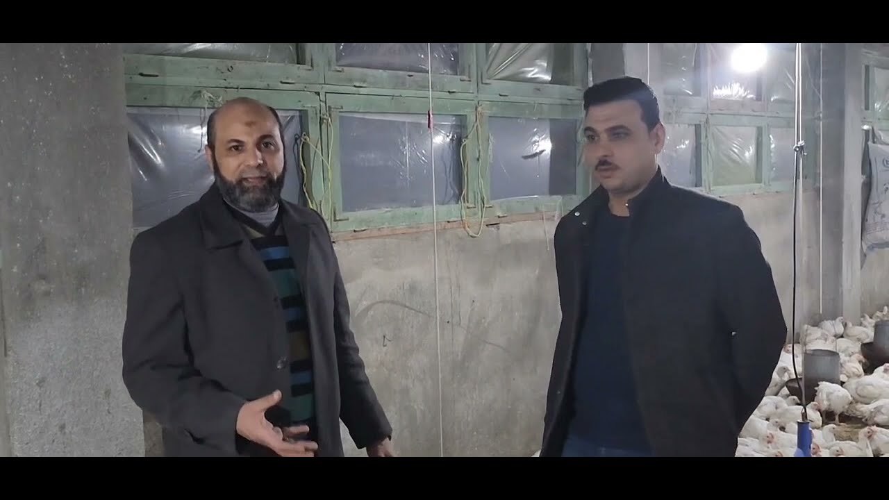 الفيديو دة من اسبوع فات كان العلف الصينى 22800 والاعلاف المصرية فى 21800 وصل الان 25000الف