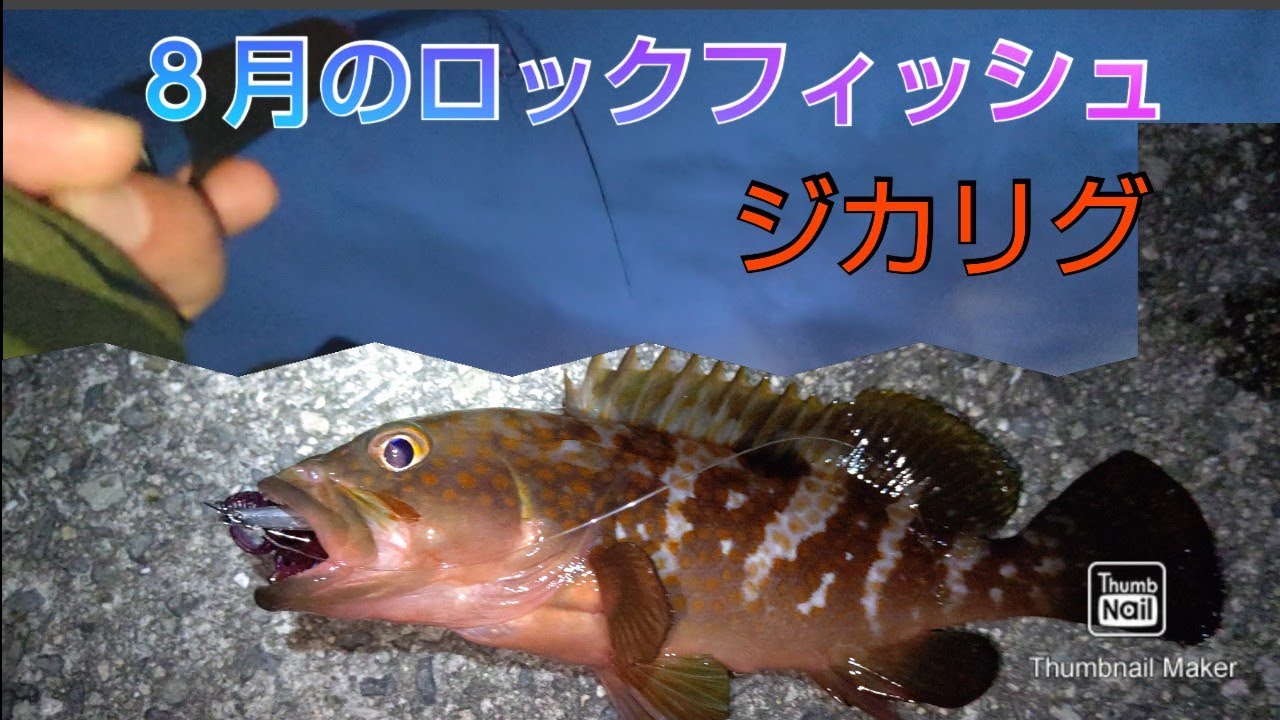 ８月の ロックフィッシュ ジカリグを組んで釣行してきました ロックフィッシュ ジカリグ アコウ キジハタ Youtube