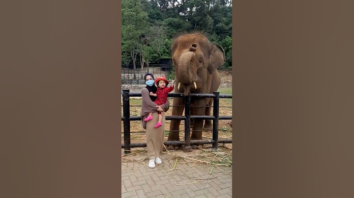 Ada Gajah di Lembang Park and Zoo