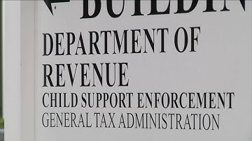 Stimulus checks and child support