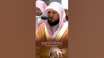 أَيَحسَبُ الإِنسَانُ أَن يُترَكَ سُدَىٰ~ ماتيسر من سورة القيامة #ماهر_المعيقلي #قران_كريم
