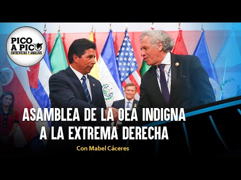 Asamblea de la OEA indigna a la extrema derecha | Pico a Pico con Mabel Cáceres