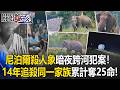 絕命復仇記？尼泊爾驚悚「殺人象」14年追殺同一家族 累計已奪25命！【關鍵時刻】20260715-3 張炤和