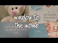 window to the womb - review - Elodie's 4d scan video