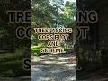 TRESPASSING COPS PLOT AND SCHEME...