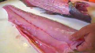 Exclusive How to Filet a Silver Corvina at Cod & Caper Seafood!!! Details